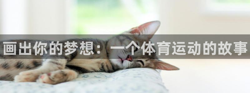 vsport体育官网下载联系电话：画出你的梦想：一个