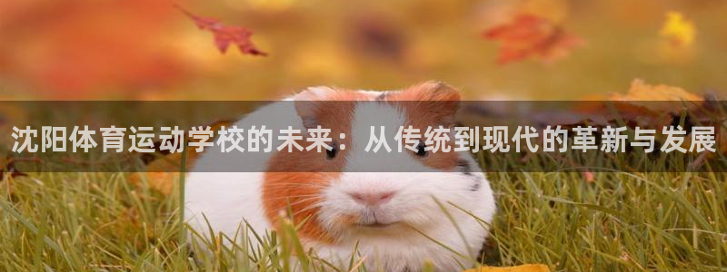 vsport体育官网下载平台注册要钱吗安全吗：沈阳体育运动学