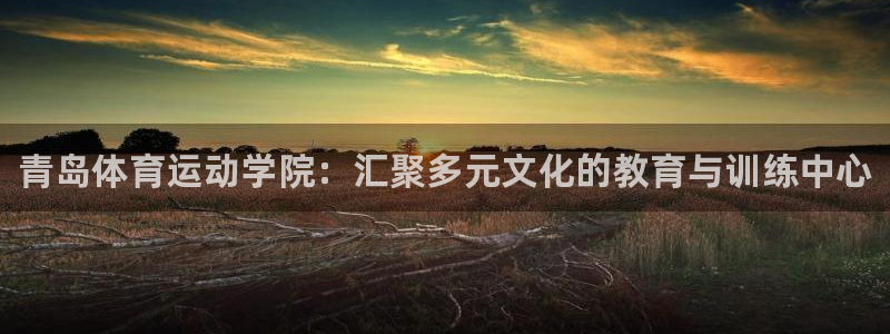 vsport体育官方平台体育：青岛体育运动学院：汇聚