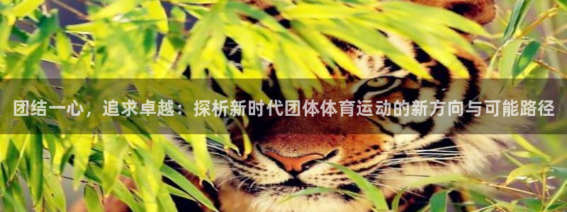 vsport体育官网下载招商电话号码：团结一心，追求