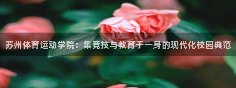 vsport体育官网下载招商：苏州体育运动学院：集竞