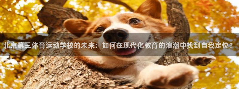 海南vsport体育官网下载：北京第三体育运动学校的未来：如