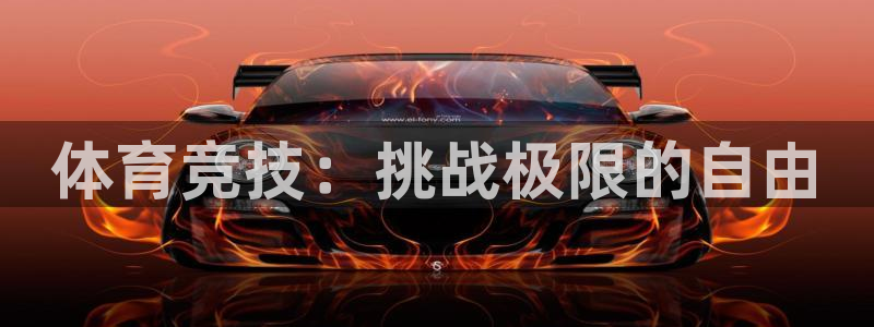 vsport体育官方正版app代理：体育竞技：挑战极限的自由