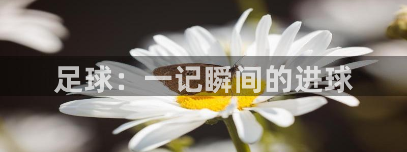 vsport体育官网下载平台是正规平台吗：足球：一记瞬间的进