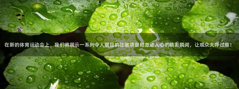 vsport体育官方正版app集团官网首页网址