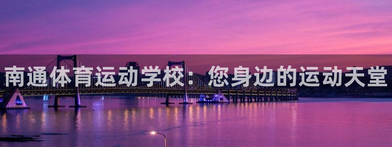 vsport体育官方正版app新能源