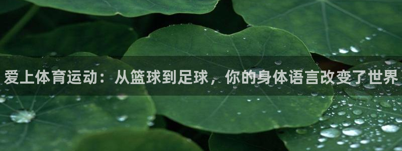 vsport体育官网下载联系电话：爱上体育运动：从篮