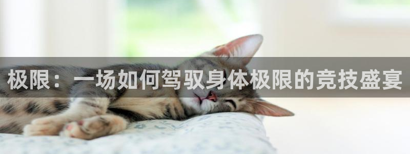 vsport体育官方正版app娱乐首页官网下载：极限：一场如