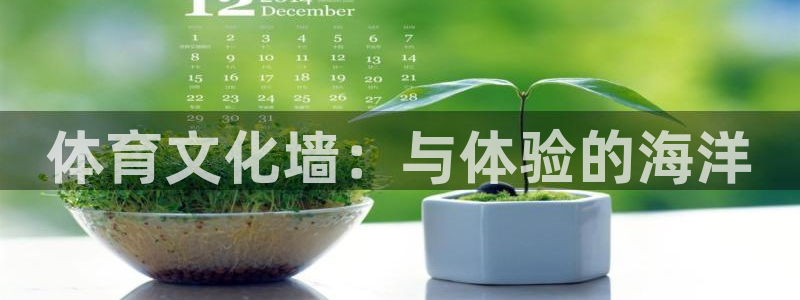  Vsport体育官方网站入口：体育文化墙：与体验的海洋
