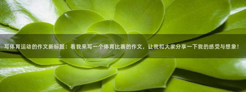 vSport体育在线登录平台：写体育运动的作文新标题：看我来