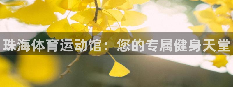 vsport体育在线官网