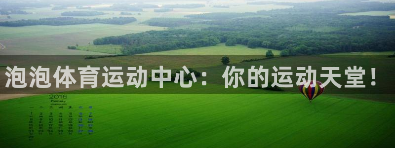 VSport体育官网入口：泡泡体育运动中心：你的运动天堂！