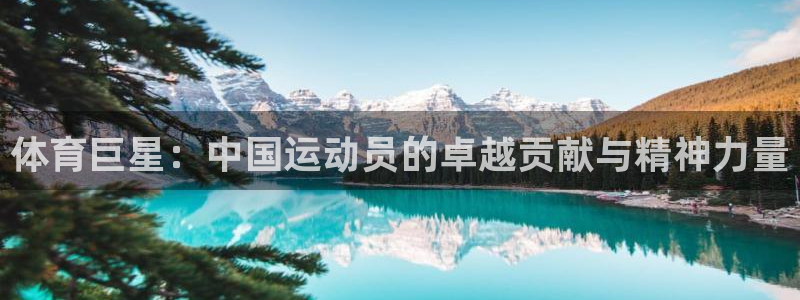 vsport体育在线官网：体育巨星：中国运动员的卓越贡献与精