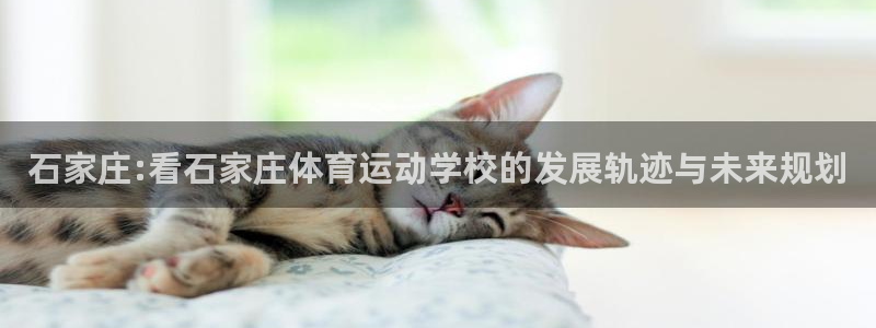  VSport体育平台-胜利因您更精彩：石家庄:看石家庄体育运