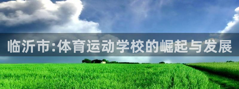 Vsport体育官方网站入口：临沂市:体育运动学校的崛起与发