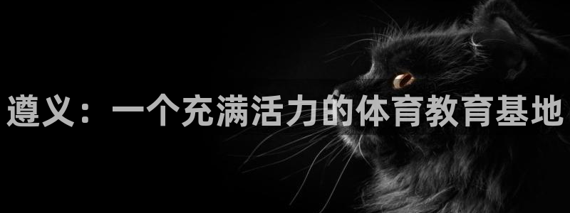 Vsport体育官方网站入口：遵义：一个充满活力的体育教育基