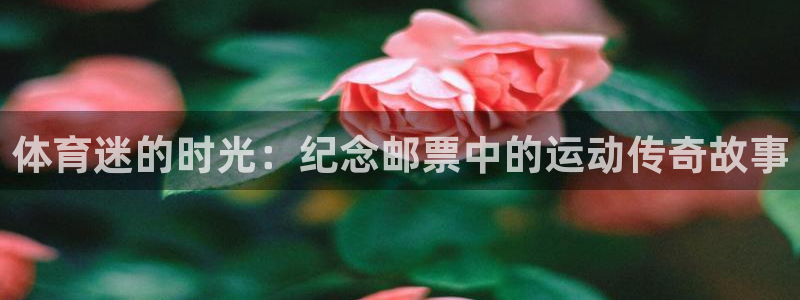 vsport体育在线官网：体育迷的时
