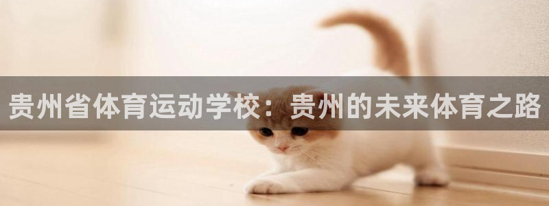 vsport体育官方正版app集团官网首页：贵州省体