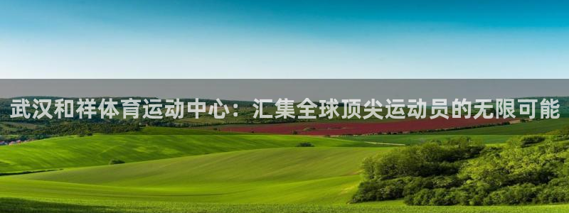 vsport体育官网下载是干嘛的公司：武汉和祥体育运