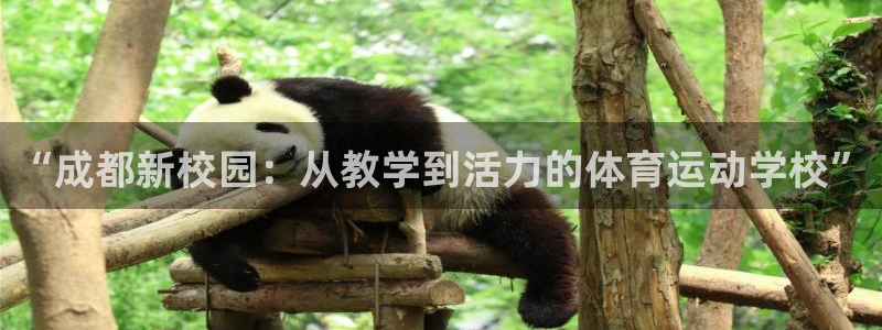 vsport体育官方正版app娱乐网站：“成都新校园