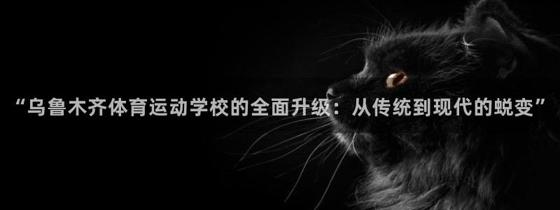 vsport体育官网下载平台：“乌鲁木齐体育运动学校