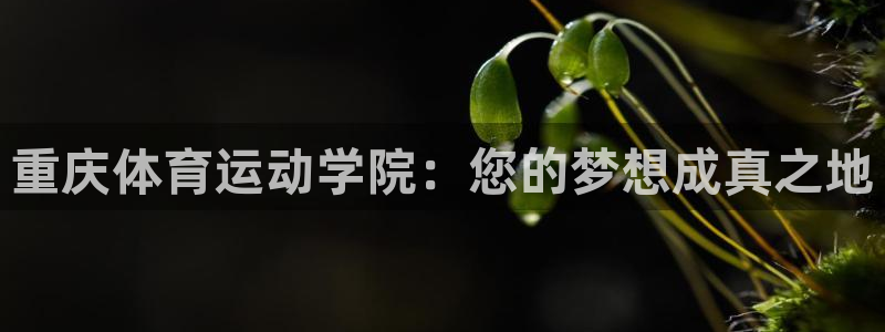 vsport体育官方正版app代理：重庆体育运动学院