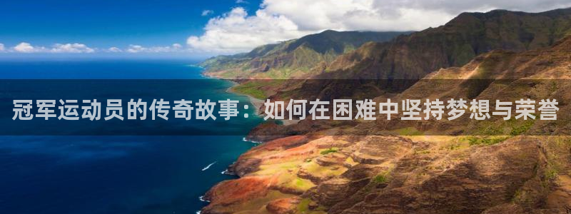 vsport体育官网下载招商电话