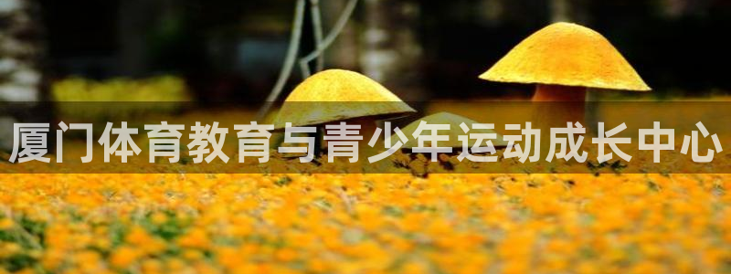 vsport体育官网下载招商电话号码查询：厦门体育教