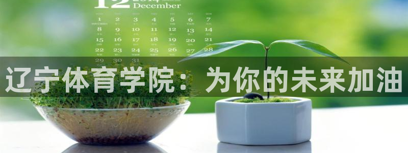 vsport体育官方正版app集团E.ON：辽宁体育