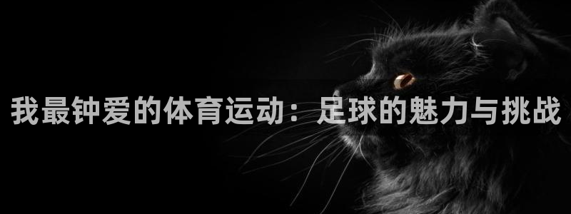 vsport体育官方正版app娱乐下载：我最钟爱的体