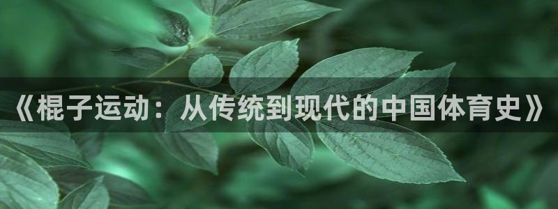 vsport体育官方正版app代理：《棍子运动：从传