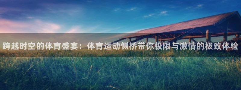 vsport体育官网下载联系电话：跨越时空的体育盛宴