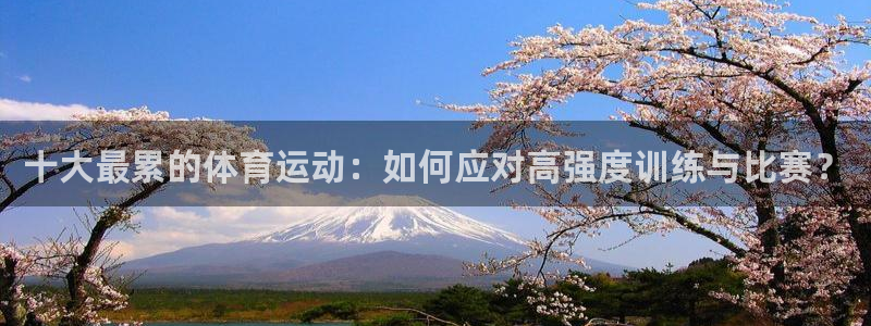 vsport体育官网下载平台假的吗是真的吗:十大最累的体育运