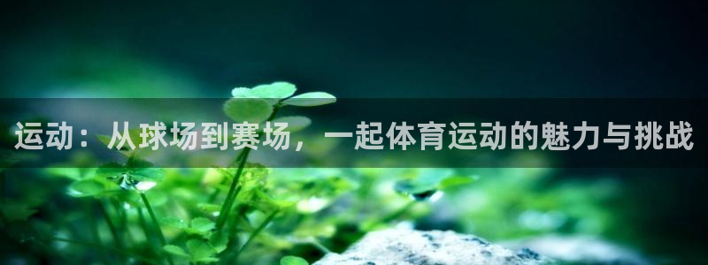 vsport体育官网下载平台假的吗是真的吗:运动:从球场到赛
