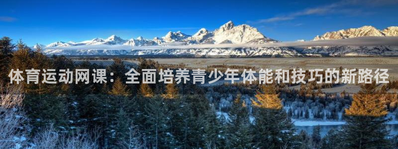 vsport体育官网下载官方客服电话：体育运动网课：