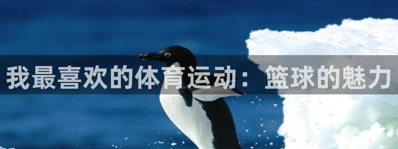 vsport体育官网下载招商电话：我最喜欢的体育运动